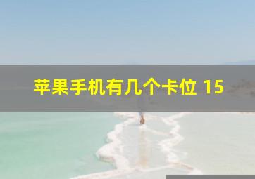 苹果手机有几个卡位 15